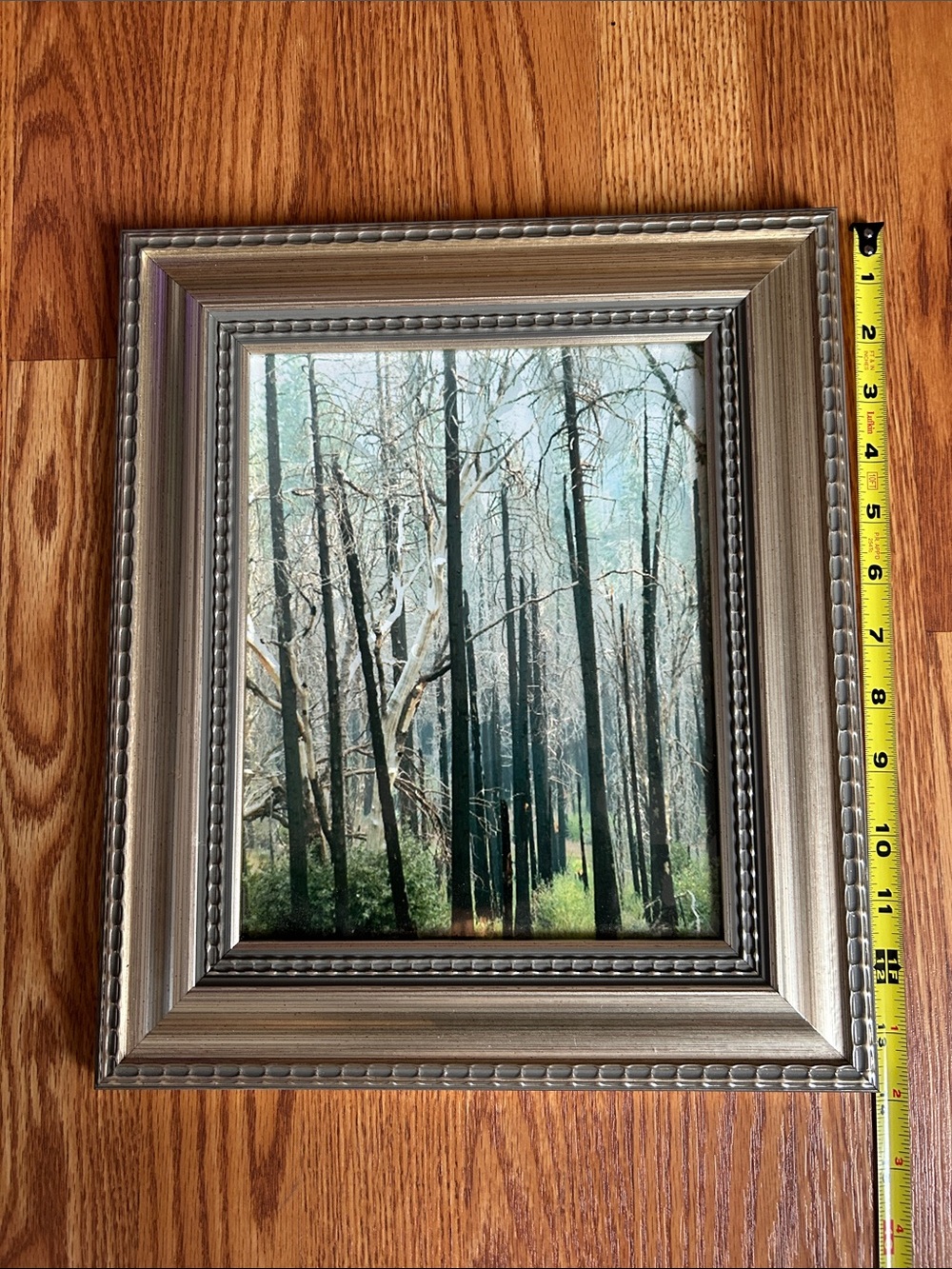 Lot of 3 Landscape Outdoor Framed Prints Woodland Water Snow Cap Mountains - Picture 6 of 12